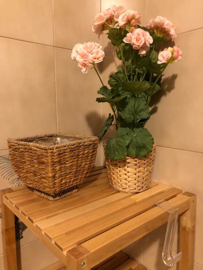 比萨Da Paola住宿加早餐旅馆 外观 照片